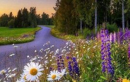 Художественная дуэль "Рисунок по заданной фотографии." / 16 августа.