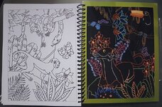 20260206_203229 kl.jpg