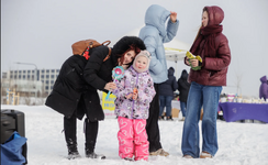 Снимок экрана 2026-02-21 160122.png