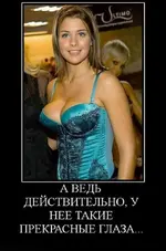 94031680202488197322683.webp