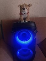 IMG_1288.jpeg