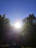 IMG_20260917_091930.jpg