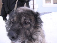 DSCN4355.JPG