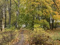 IMG_9279.jpeg IMG_9279.jpeg