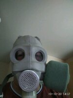 IMG_20201010_143755.jpg