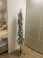 IMG_9391.jpeg