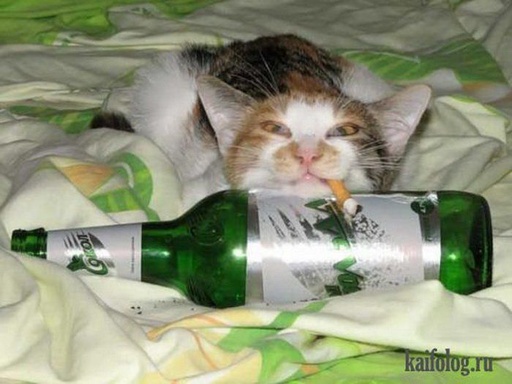 Андрий