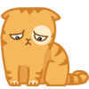 :cat3: