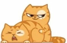 :cat7: