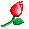 :cat12: